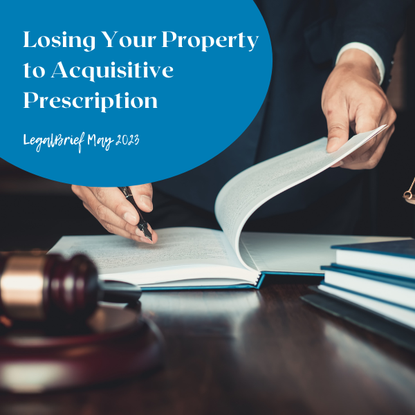 Lighthouse LegalBrief